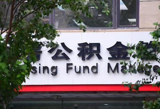 陵水住房公积金提取明细（公积金提取查询）